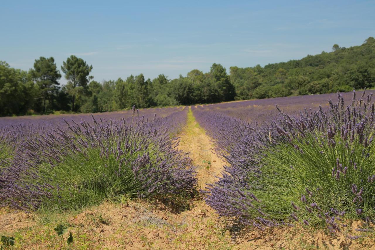 Bed and Breakfast Les Yourtes De Provence Saint-Paulet-de-Caisson Exterior foto